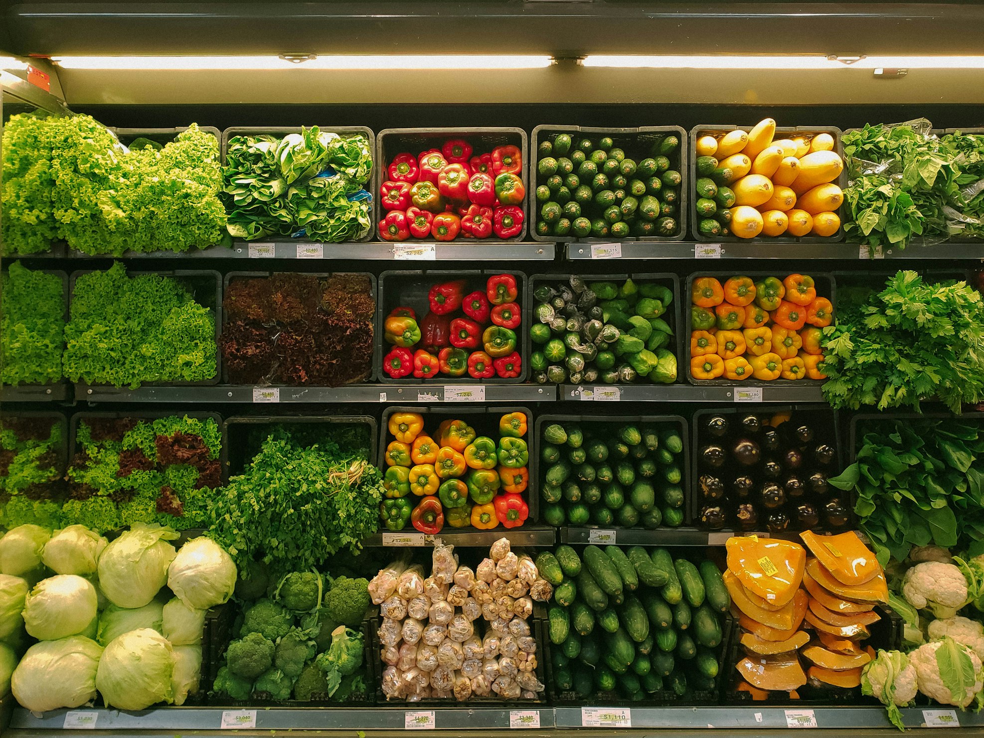 Fresh Organic Vegetables