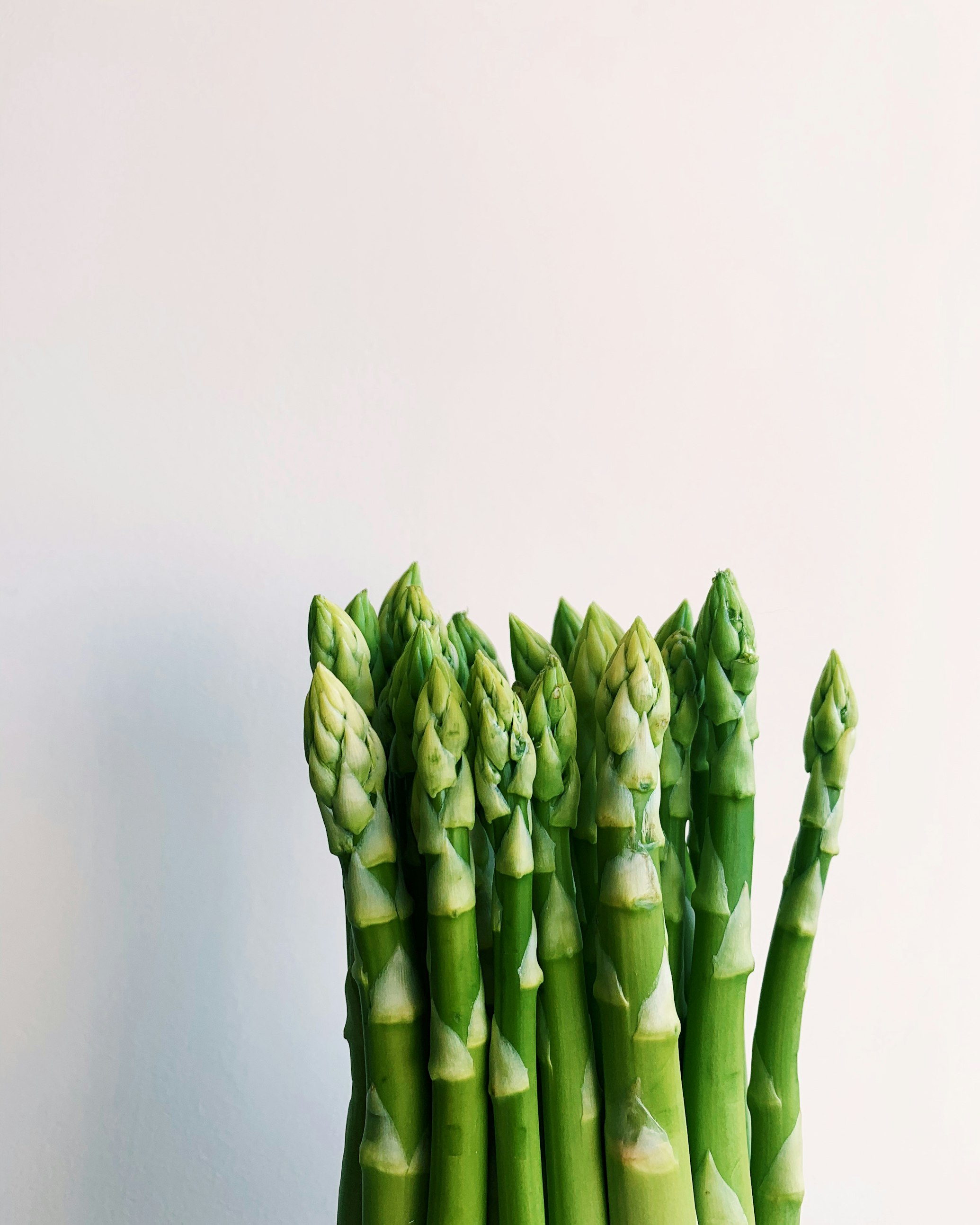 Farm to Table Experience